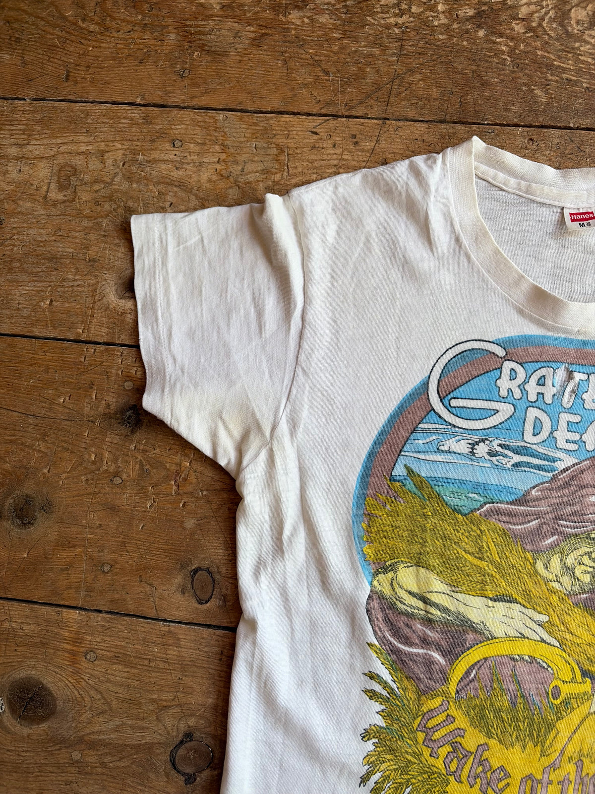 Vintage “Wake Of The Flood” Tee