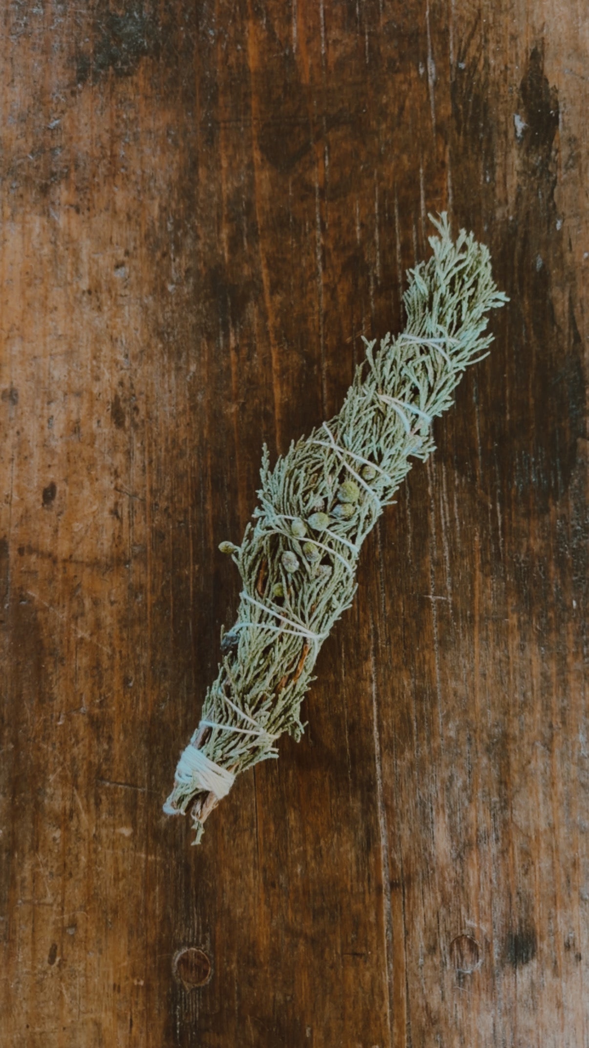 Juniper Bundle
