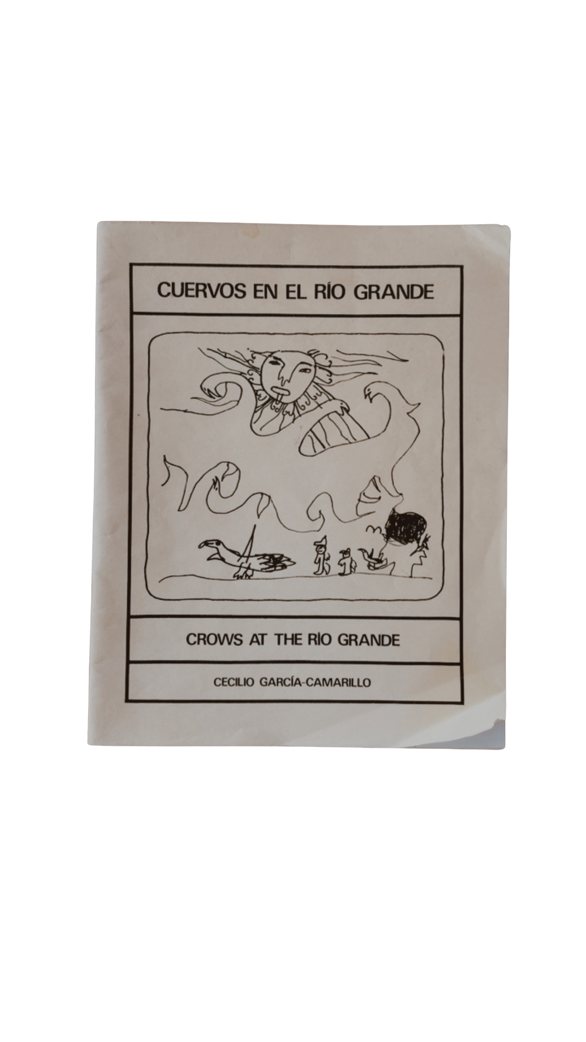 Cuervo En El Río Grande