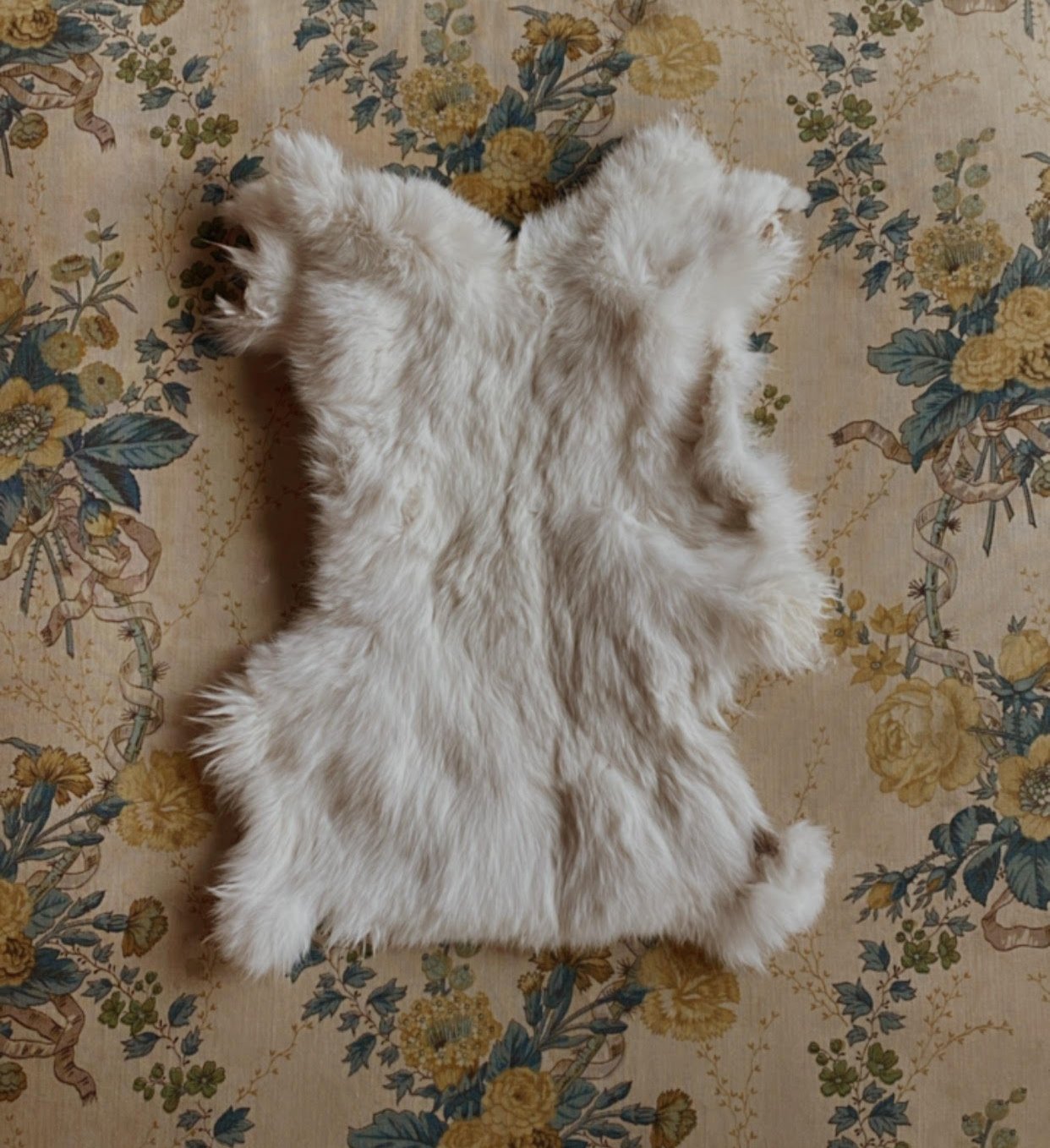Rabbit Pelt 12