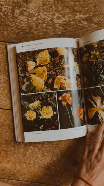 Wildflowers of Western America