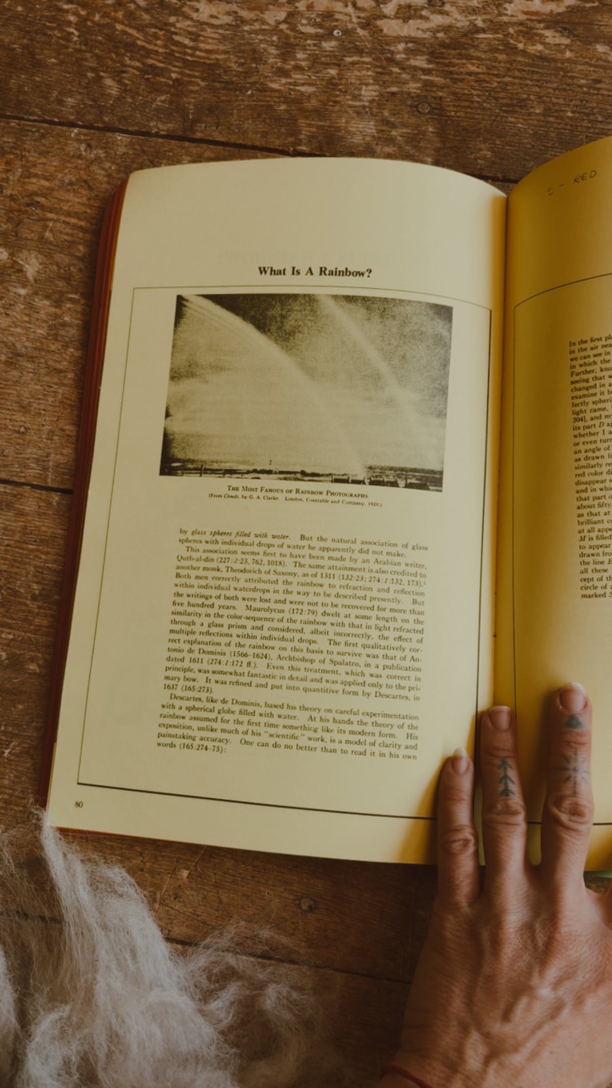 The Rainbow Book