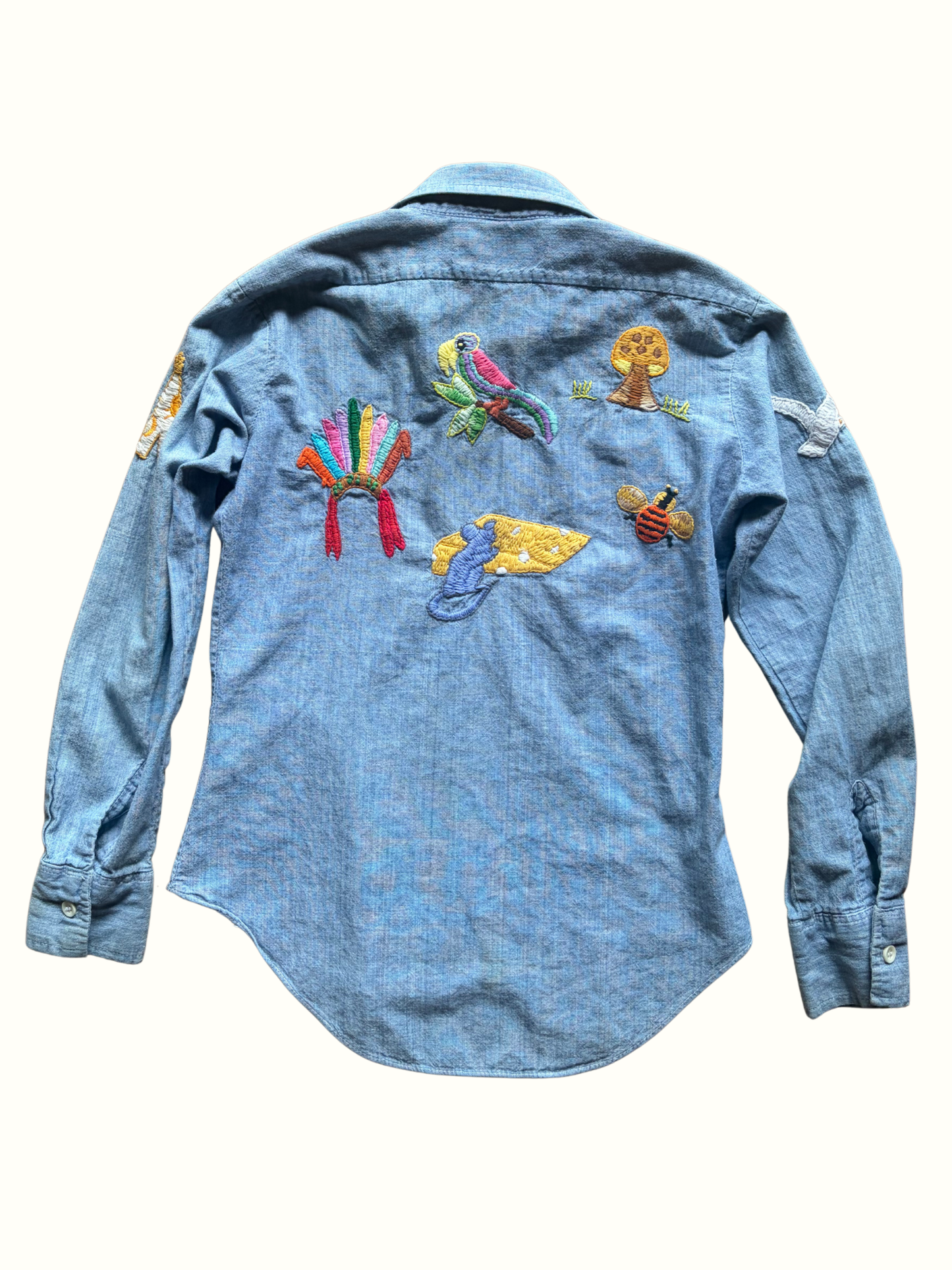 Whimsical Embroidered Chambray