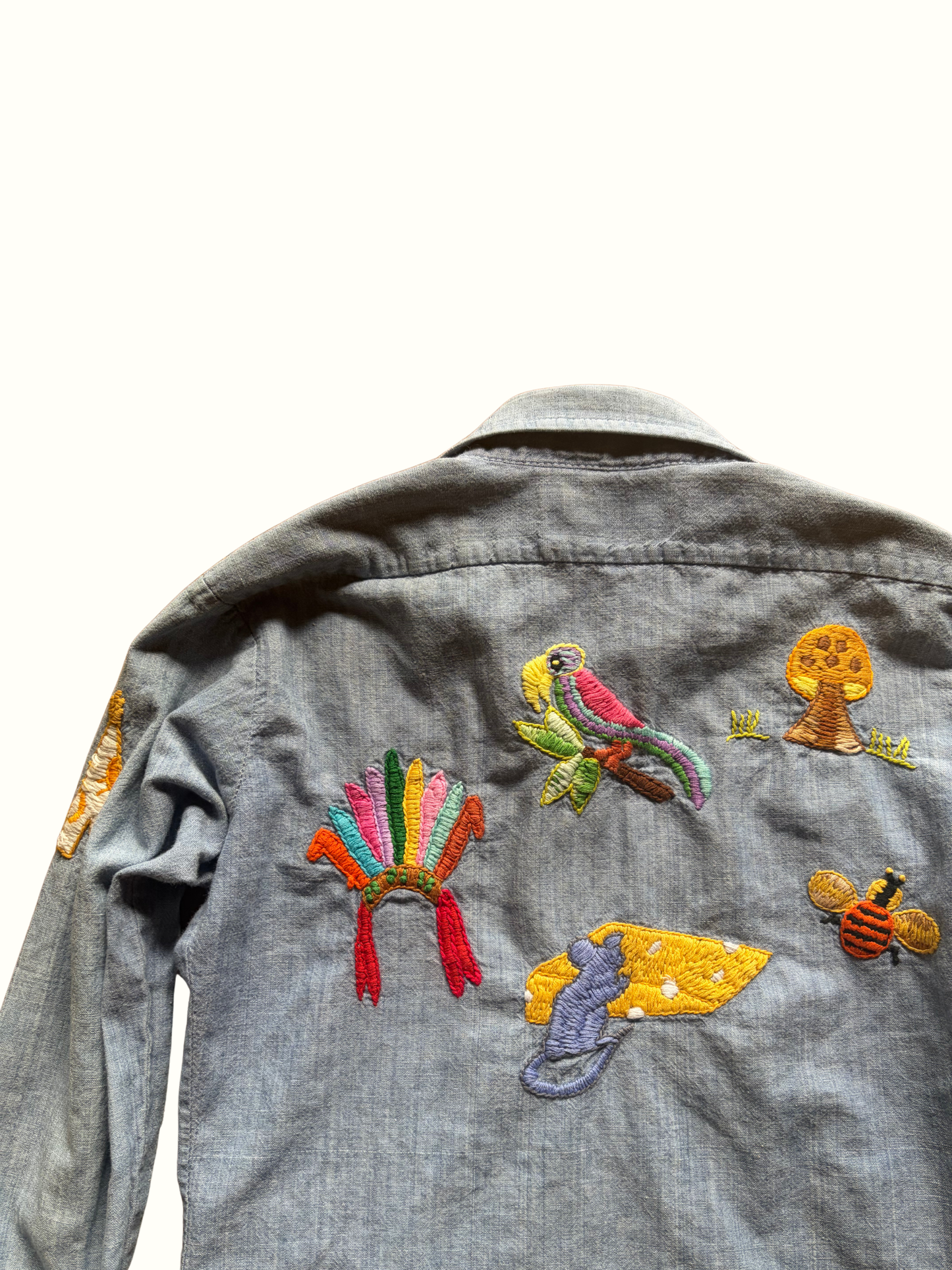 Whimsical Embroidered Chambray