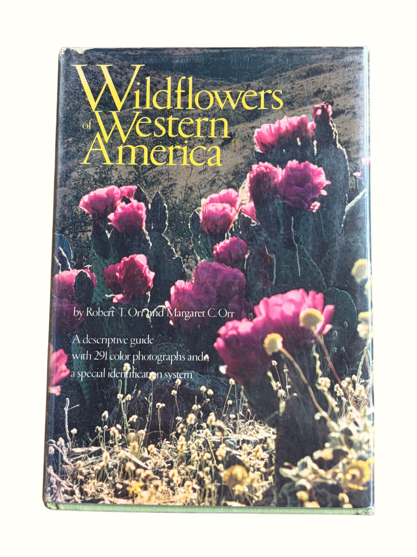 Wildflowers of Western America