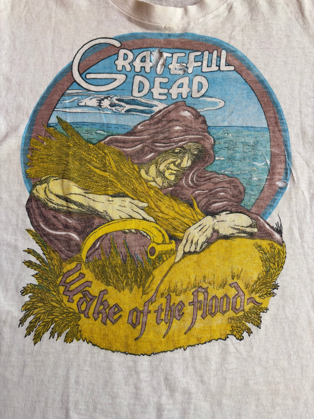 Vintage “Wake Of The Flood” Tee