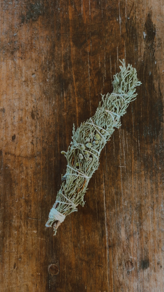 Juniper Bundle