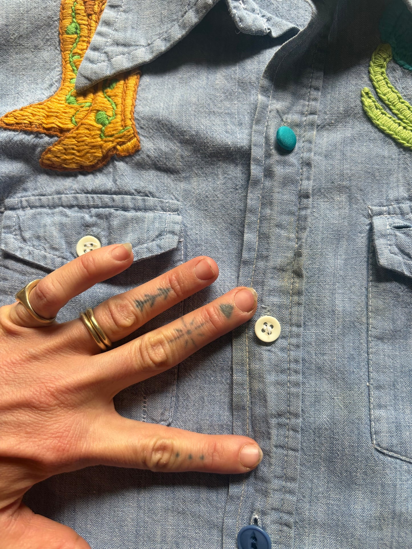 Whimsical Embroidered Chambray