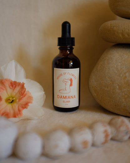 Damiana Elixir
