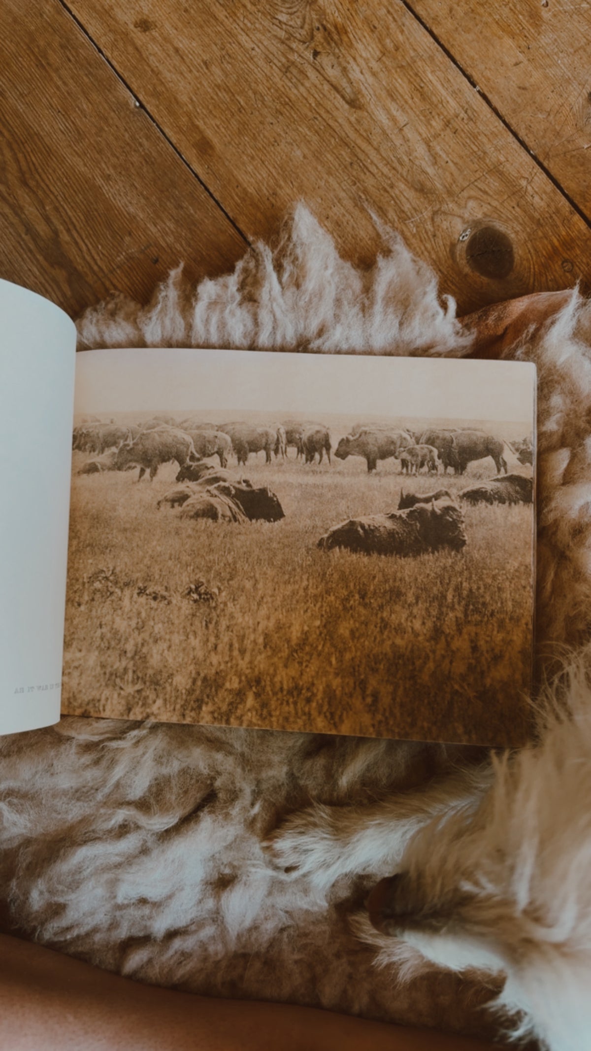 Portraits of Native Indian American Life