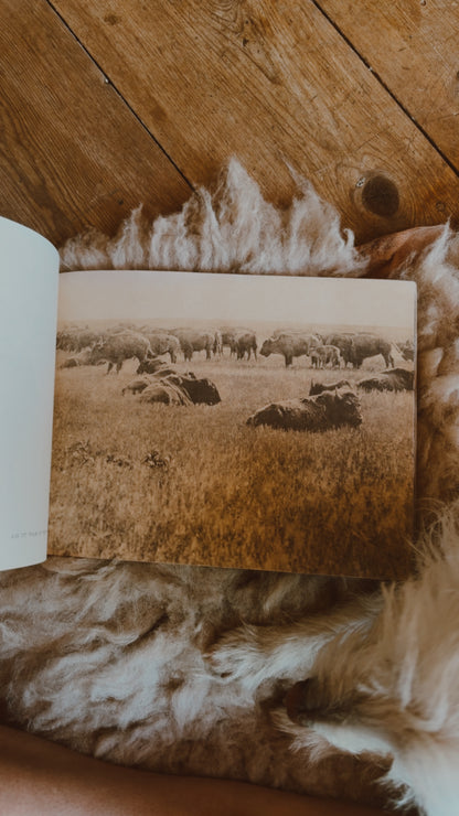 Portraits of Native Indian American Life