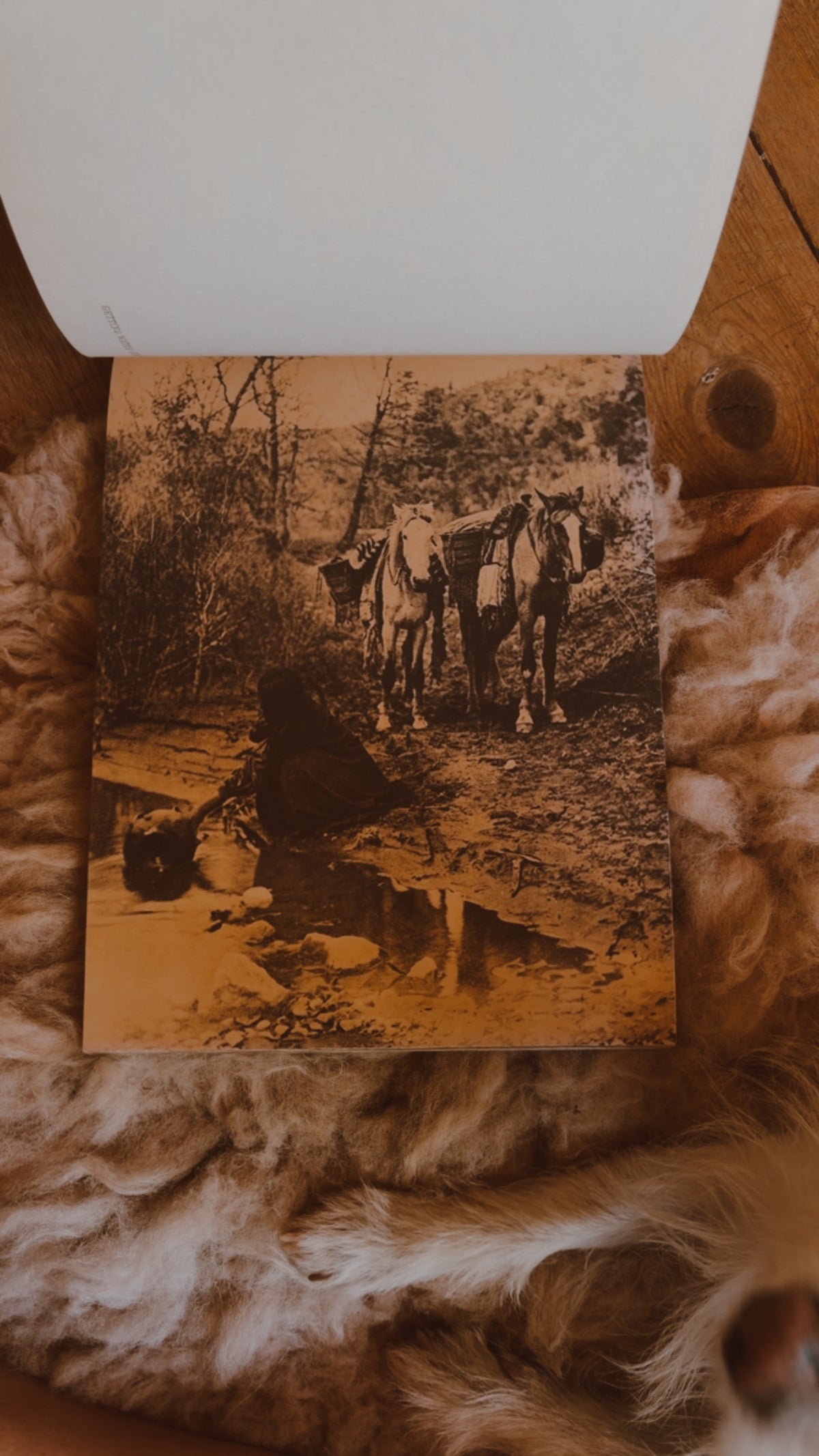 Portraits of Native Indian American Life