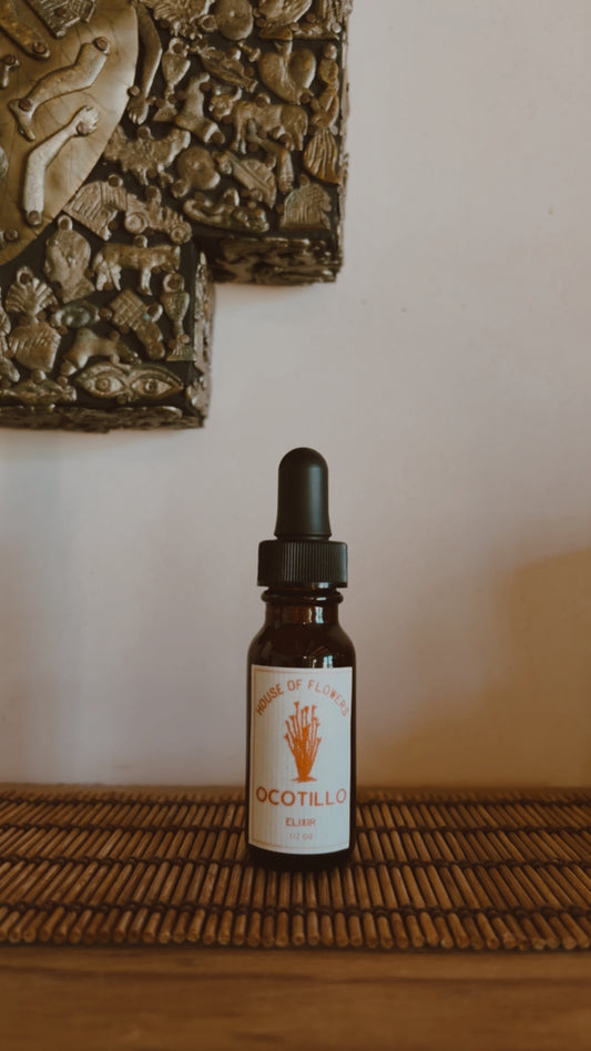 Ocotillo Elixir