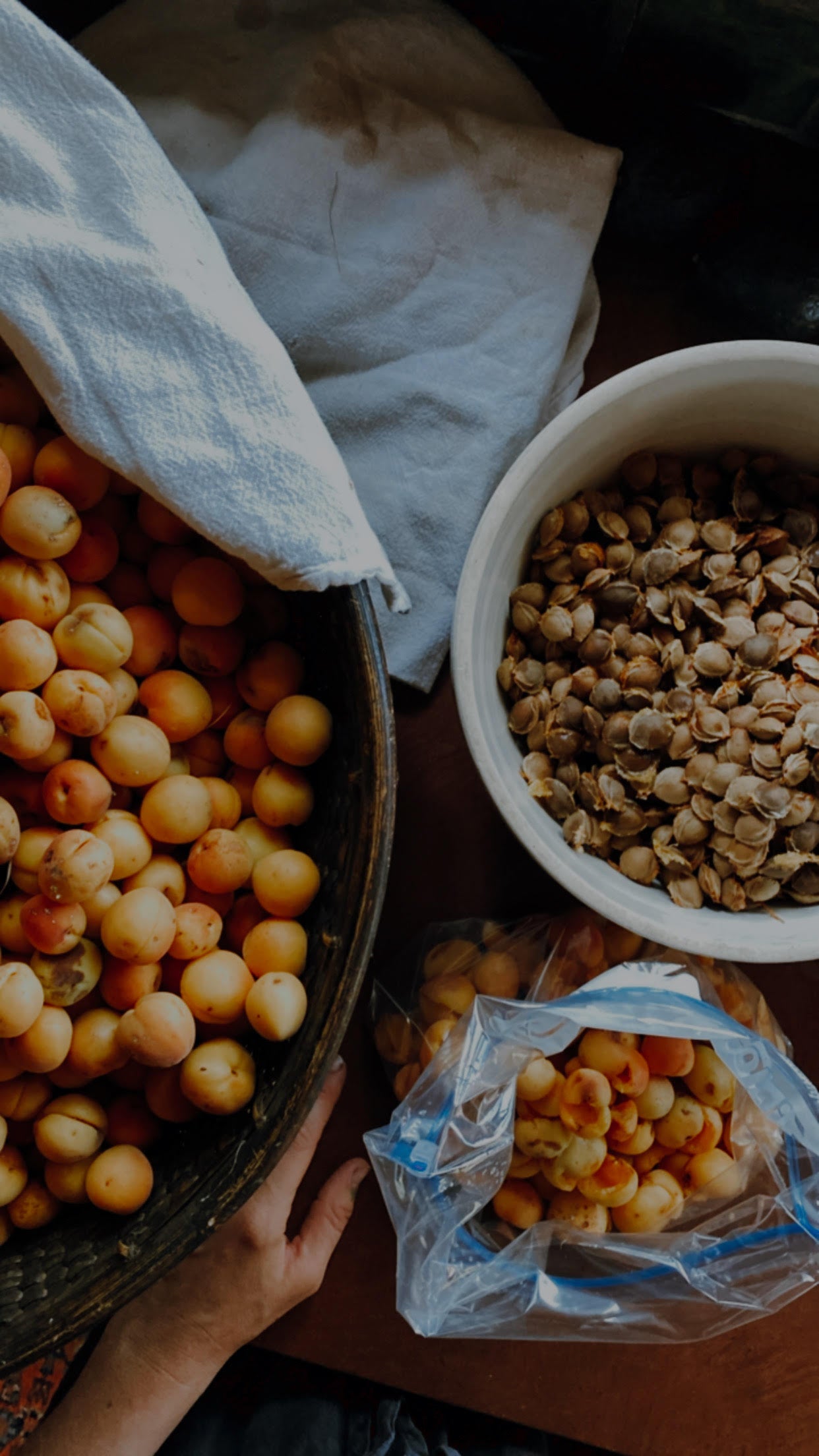 Apricot Jam